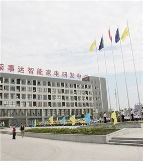 合肥荣事达集团